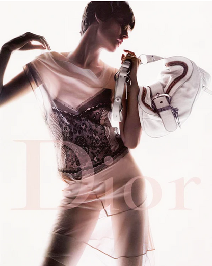 Christian Dior Trompe-l'oeil Print Silk Dress Spring 2006 Runway