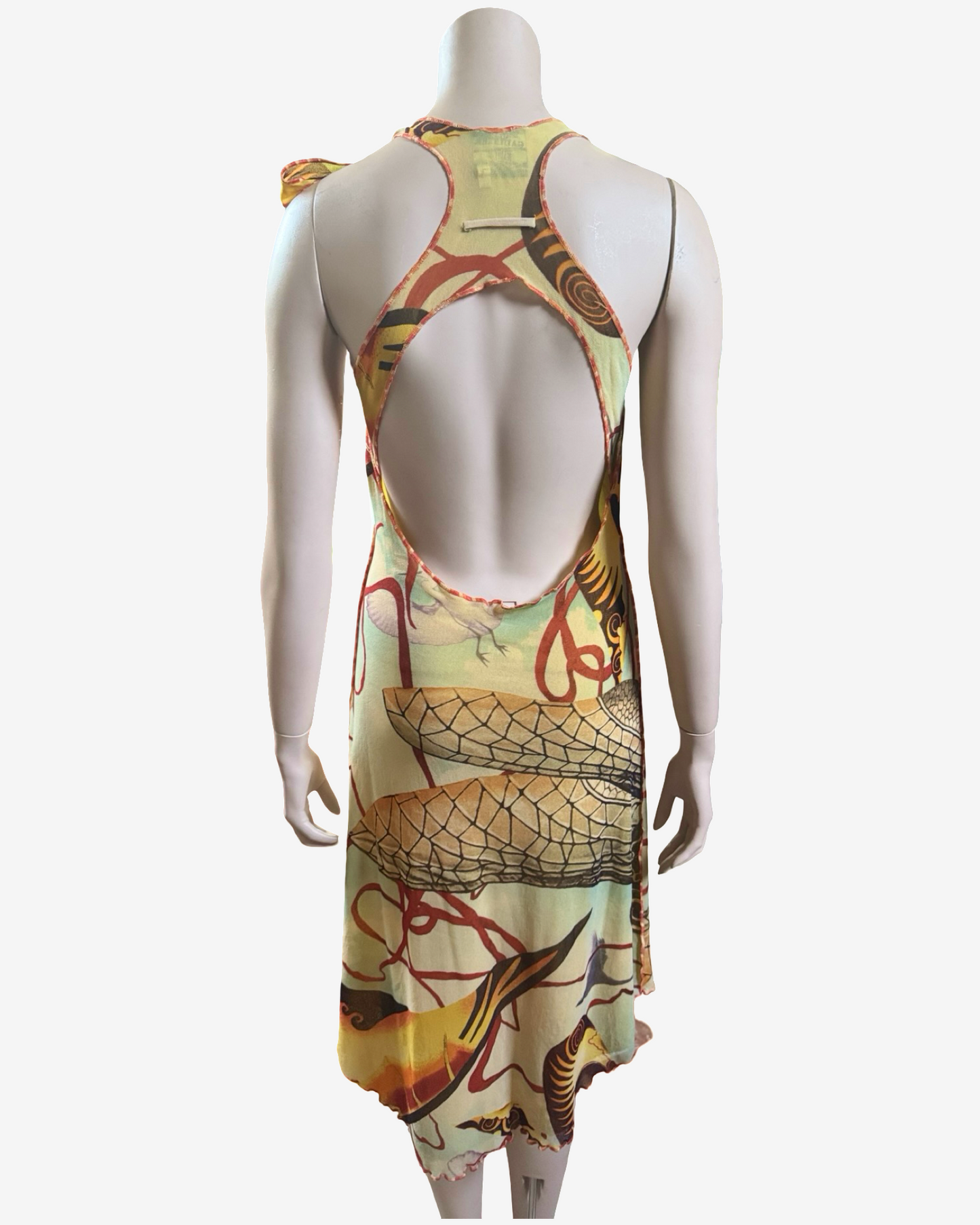 Jean Paul Gaultier SS 2005 Salvator Dali Mesh Dress